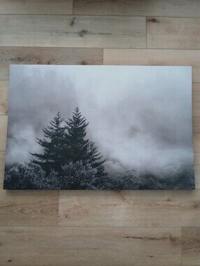 "Rising Mist and Evergreens, Smoky Mountains" By Nicholas Bell